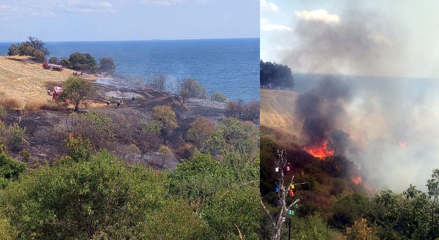 Tekirdağ'da makilik ve ağaçlık alanda yangını
