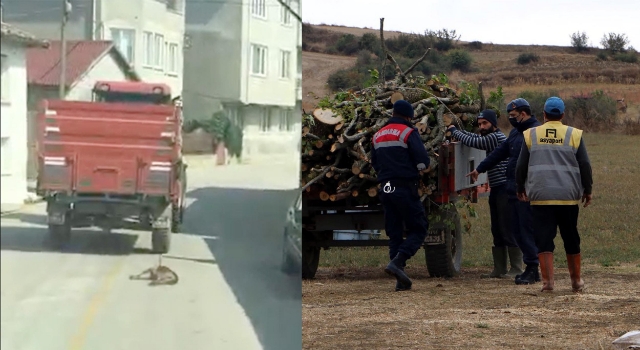 Traktörün römorkuna bağladığı köpeği metrelerce sürükledi