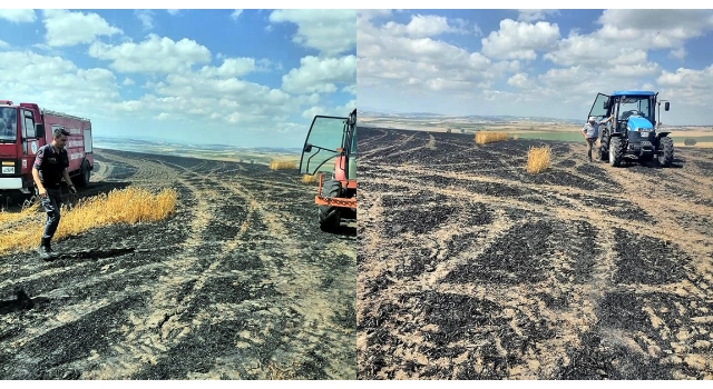 Malkara'da 100 dönüm buğday tarlası yandı