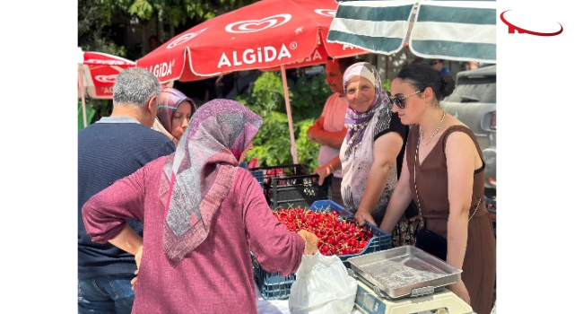Enez'de 13 ülkeye ihraç edilen ‘Çeribaşı kirazı’nın hasat şenliği yapıldı