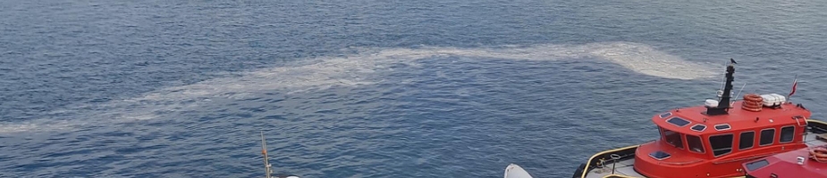 Çanakkale Boğazı'nda müsilaj tespit edildi