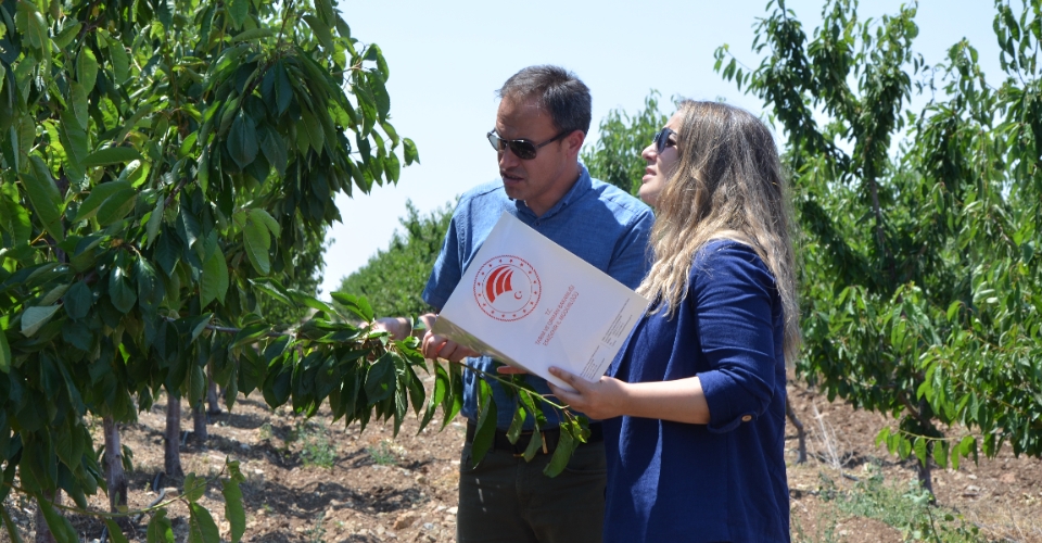 Eskişehir’de zirai dondan etkilenen 606 çiftçiye, 55 milyon lira yardım