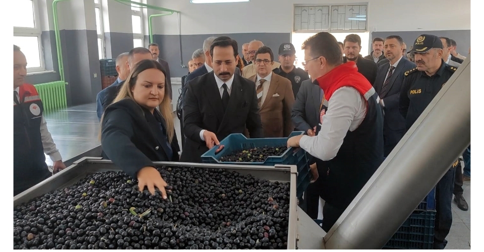 Tekirdağ’da zeytin hasat etkinliği düzenlendi