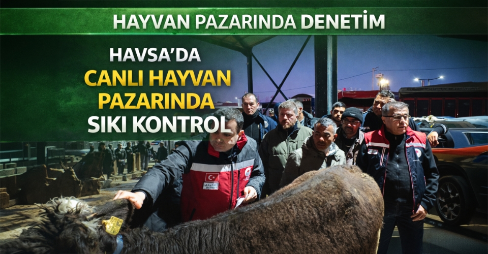 Havsa canlı hayvan pazarında denetim