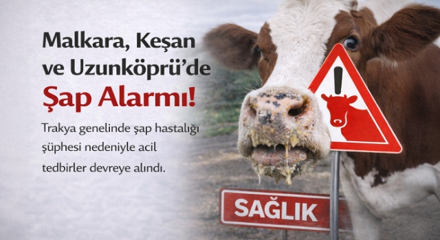 Malkara, Keşan ve Uzunköprü’de Şap Alarmı: Hayvan Alım Satımına Kısıtlama Getirildi