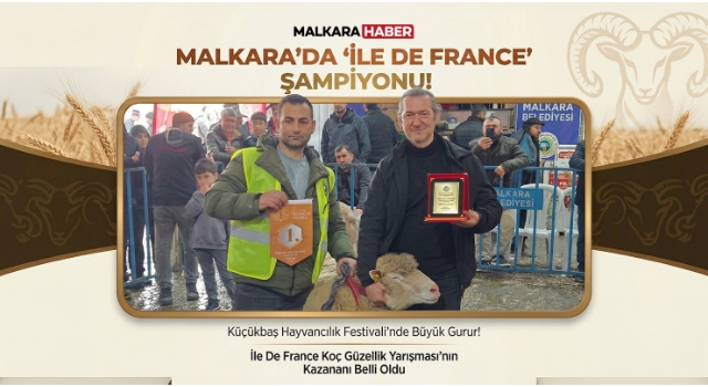 Malkara Küçükbaş Hayvancılık Festivalinde “İle De France” Şampiyonu Belli Oldu