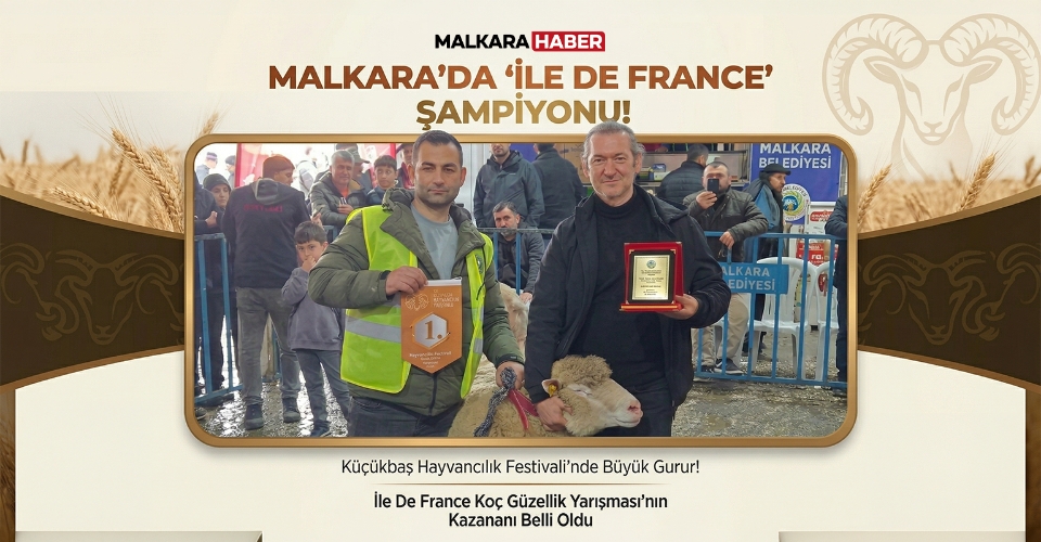 Malkara Küçükbaş Hayvancılık Festivalinde “İle De France” Şampiyonu Belli Oldu