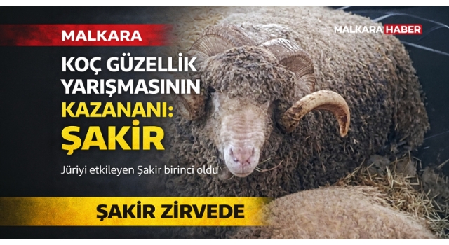 Malkara’da koç güzellik yarışmasının kazanını ‘Şakir’ oldu