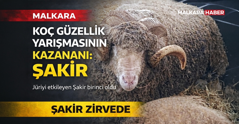 Malkara’da koç güzellik yarışmasının kazanını ‘Şakir’ oldu