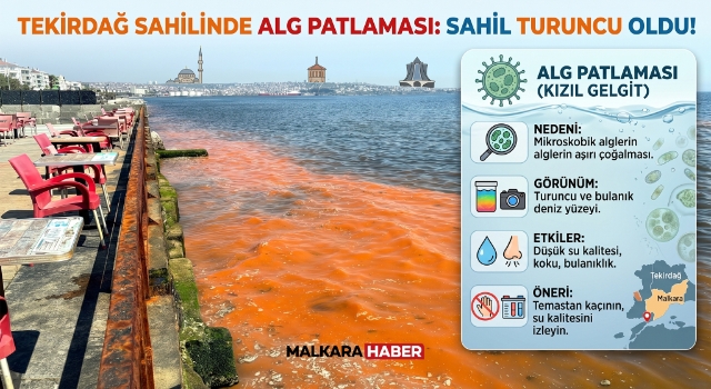 Tekirdağ sahilinde alg patlaması nedeniyle deniz turuncu renge büründü
