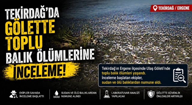 Tekirdağ'da gölette toplu balık ölümlerine inceleme