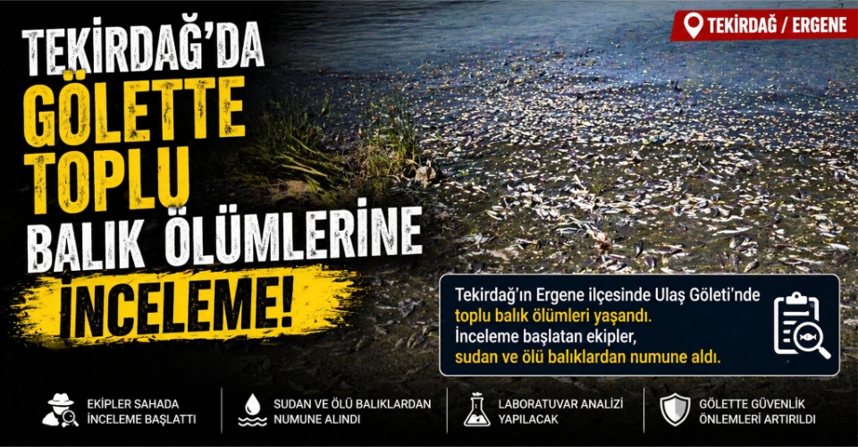 Tekirdağ'da gölette toplu balık ölümlerine inceleme