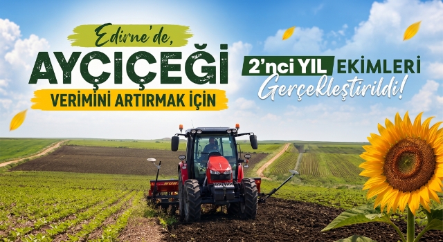 Edirne’de, ayçiçeği verimini arttırmak için 2’nci yıl ekimleri gerçekleştirildi