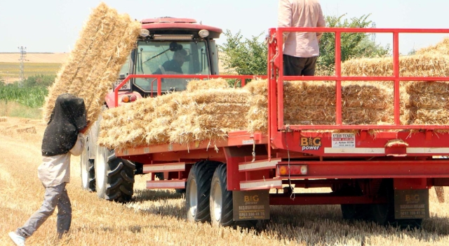 Tekirdağ'da balya bağlama ile açık alanda ateş yakılması yasaklandı