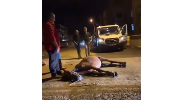 Ata şiddet uygulandığı iddiası; 2 şüpheli gözaltında