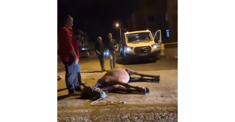 Ata şiddet uygulandığı iddiası; 2 şüpheli gözaltında