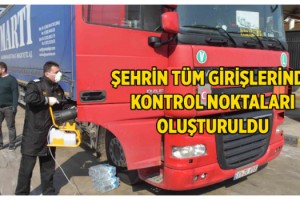 Kapıkule'de, koronavirüse karşı TIR sürücülerine sıkı denetim