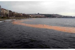 Tekirdağ'da deniz turuncu renge büründü