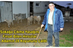'65 yaş' yasağı nedeniyle sokağa çıkamayan besicinin hayvanları çalındı