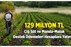 Çiftçiye Ödeme Desteği