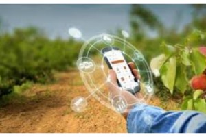 Türk Traktör'den tüm çiftçilere Tarlam Cepte uygulaması