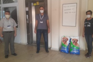 Hollanda’da yaşayan iş insanından, sokak hayvanlarına mama desteği