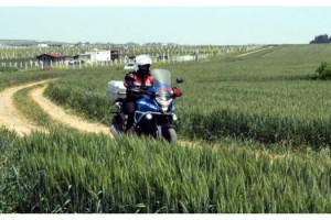 İstanbul-Tekirdağ sınırındaki tarlalarda, jandarmadan motosikletli denetim