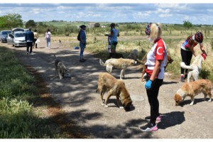 Kısıtlamada, günde 2 bin 500 sokak hayvanını beslediler
