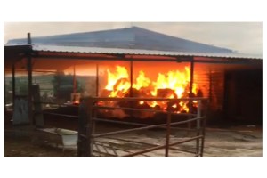 Köy muhtarının deposu kundaklandı