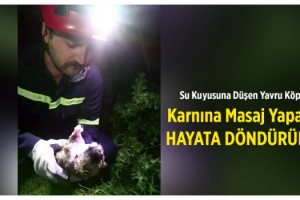 Su kuyusuna düşen yavru köpek, masajla hayata döndürüldü