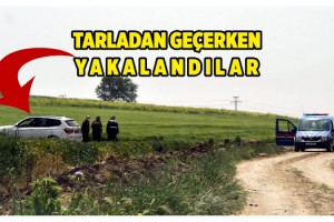 Tekirdağ'a tarla yollarından gelmek isteyenler jandarmaya yakalandı