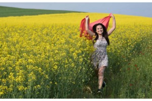 Trakya'yı sarıya boyayan 'kanola', tarlaları şenlendirdi