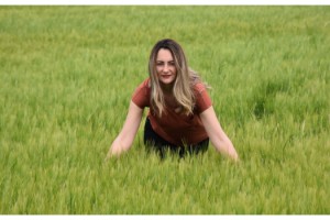 Türkiye'nin 2020 buğday hedefi, 20 milyon ton