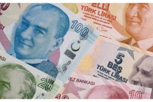 Vize’de sahte para operasyonu