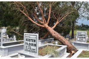 Fırtına, dev ağaçlar kökünden söküldü, çatılar uçtu