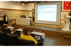 Sokak hayvanları için iletişim grubu kuruldu