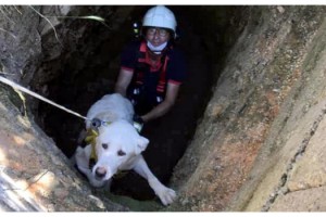 Su kuyusuna düşen köpeği itfaiye kurtardı