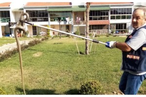 Süs havuzuna düşen yılan kurtarıldı