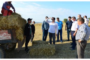 Yem Bitkisi Projesi Hayvan Yetiştiricilerinin Yüzünü Güldürdü