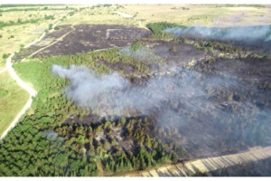 Edirne'deki orman yangını 9 saatte söndürüldü