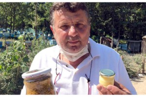 Kilosu 8 bin liradan satılan arı sütü talebine yetişemiyorlar