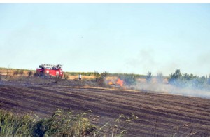Malkara'da sigara izmaritinin çıkardığı yangında 200 dönüm anız yandı