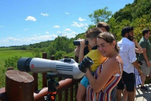 Longoz Ormanları'ndaki Kuş Gözlem Kulesi'ne ziyaretçi akını