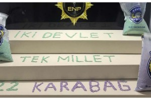 Kapıkule'de 212 bin uyuşturucu hap ele geçirildi