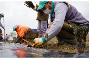 Lüleburgaz Belediyesi, lavanta üretecek