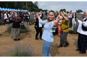 Lavanta Tarla Günleri'nde mor tarlalar festival alanına döndü