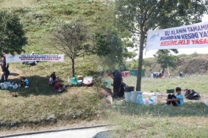 "Bu alanda kesim yasak" afişinin altında kaçak kesim