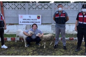 Kırklareli'de jandarmadan hayvan hırsızlığı uyarısı
