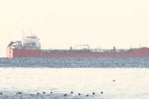 Ayçiçek yağı yüklü gemi Marmara Denizi'ne açıldı