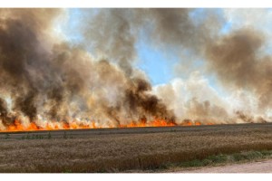 Tekirdağ'da 400 dekar buğday tarlası yandı